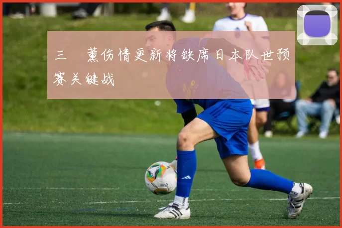 三笘薰伤情更新将缺席日本队世预赛关键战
