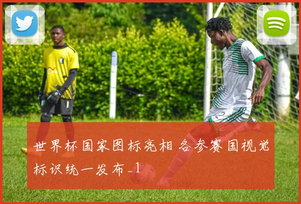 世界杯国家图标亮相 各参赛国视觉标识统一发布_1